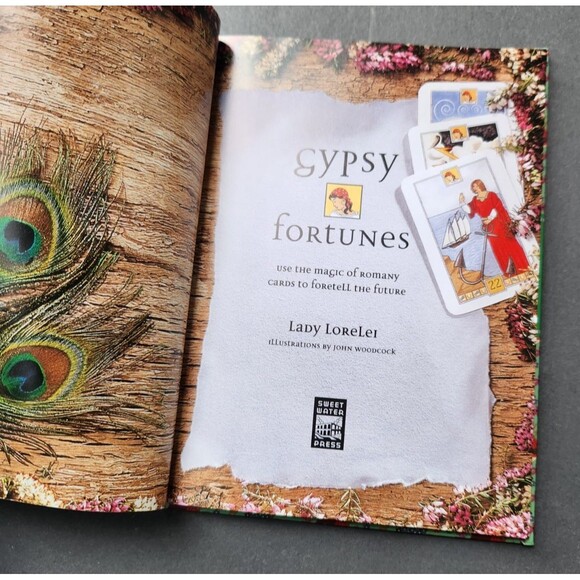 Gypsy Fortunes Book Card Pack Book Set Meditation Affirmation Cards Mindfulness - Picture 5 of 16